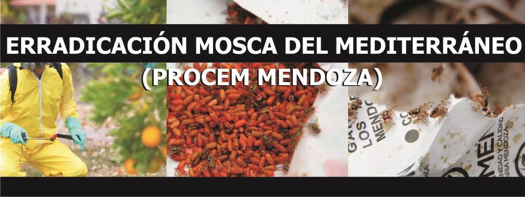 Las"Moscas de los Frutos se distribuyen en el mundo desde zonas tropicales a templadas, teniendo un registro de 4257 especies En Mendoza, una especie del complejo moscas de las frutas comúnmente