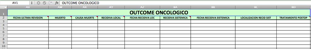 Figura 16: Imagen en pantalla del formulario de la Base de Datos en Excel de los datos relacionados con el seguimiento oncológico. 8.