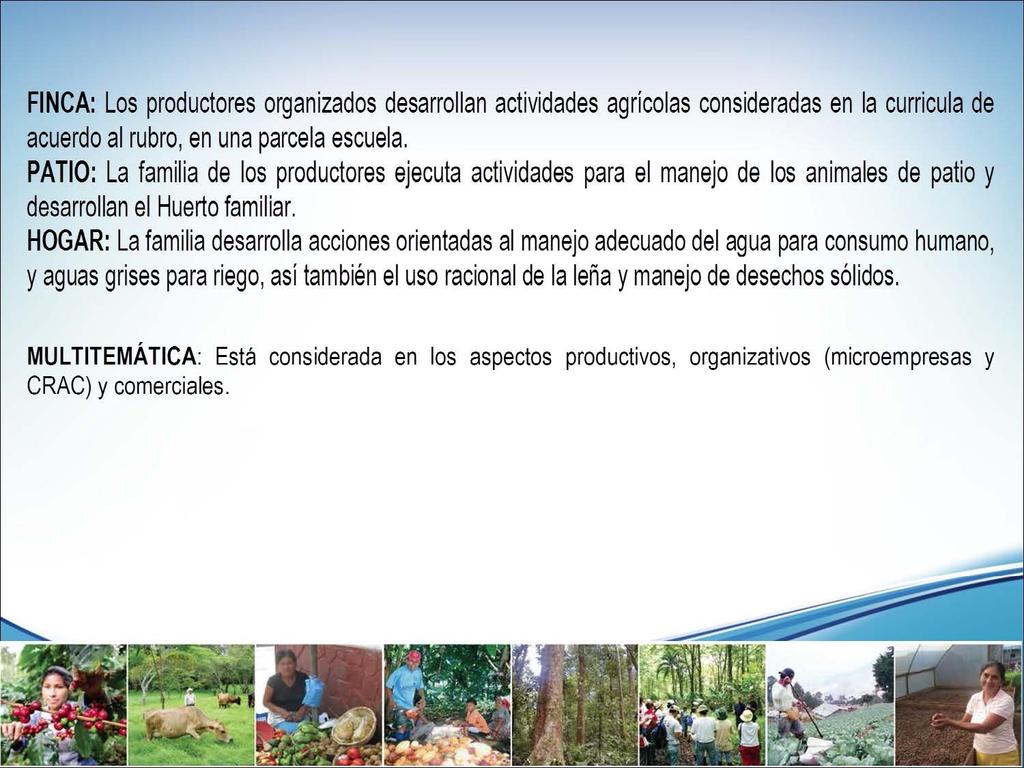 MULTIRUBRO: FINCA: Los productores organizados desarrollan actividades agricolas consideradas en la curricula de acuerdo al rubro, en una parcela escuela.
