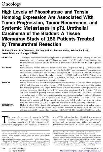 Carcinoma Urotelial de Vejiga Urinaria Incipiente Pacientes con tumores pt1 tratados mediante resección transuretral PTEN se
