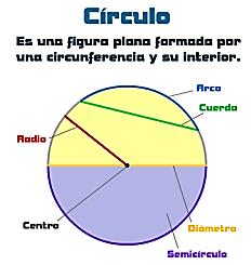 Partes: ACTIVIDAD Define los siguientes términos que forman parte del círculo y la