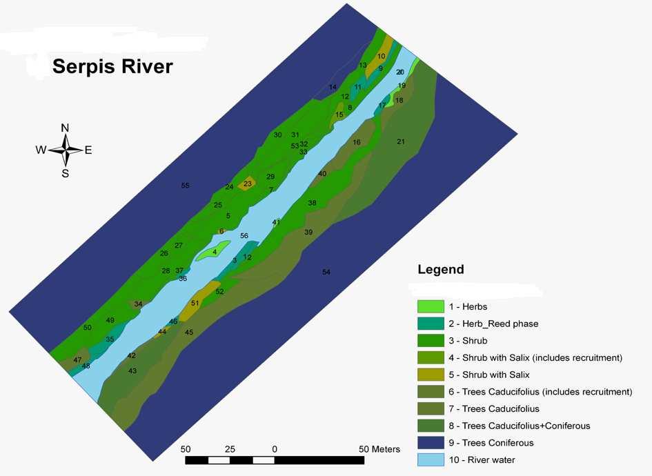 Tramo río Serpis: Vegetación Actual A partir del conjunto de datos y mapas, se
