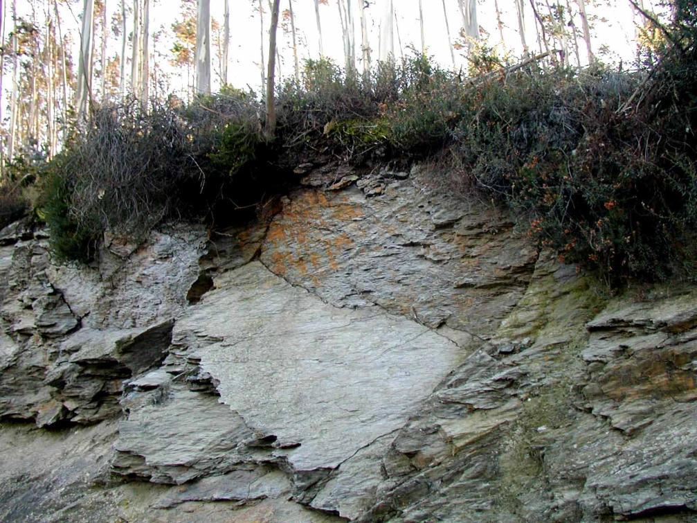DESLIZAMIENTOS Deslizamiento Traslacional (planares): Movimientos descendentes de rocas o masas de tierra a favor de una superficie (estrato, fractura, etc.