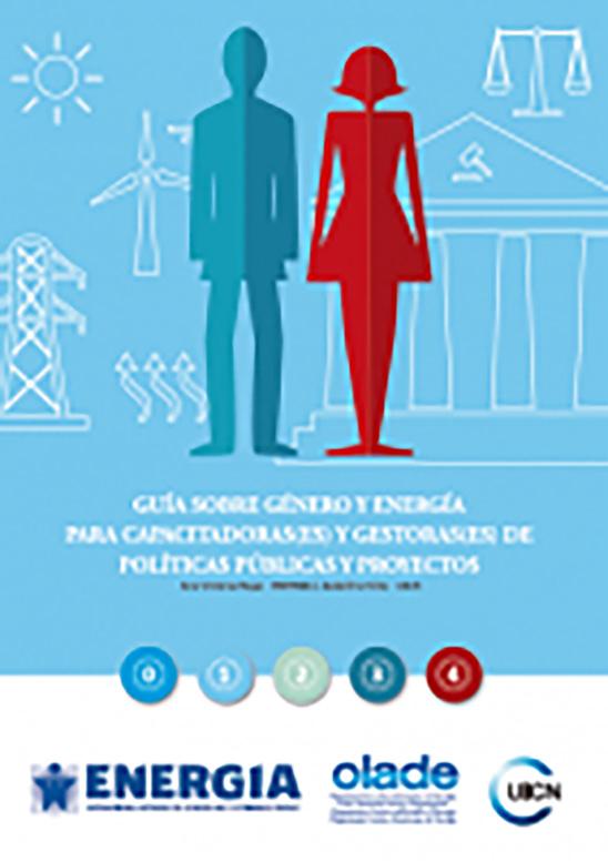Los frutos ya se han visto, en el 2014 se elaboró un manual de capacitación Guía sobre Género y Energía para Capacitadoras/es y Gestoras/es de Políticas Públicas y Proyectos, el cual cuenta con un