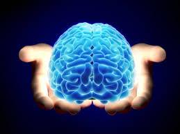 La conexión mente mano Crea1vidad La inteligencia surge de la interacción entre mente y mundo!
