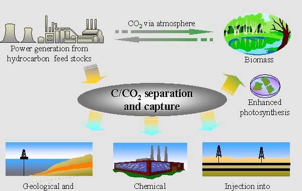 El secuestro del CO 2 CO 2 en la atmósfera Generación de energía usando hidrocarburos y biomasa Biomasa Separación y Captura del CO 2