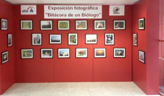 Exposición Fotográfica Bitácora de un Biólogo 20 de enero de 2016 La comunidad de profesores y usuarios del Centro de Lenguas Extranjeras (CENLEX) Unidad Zacatenco colaboró por primera vez con