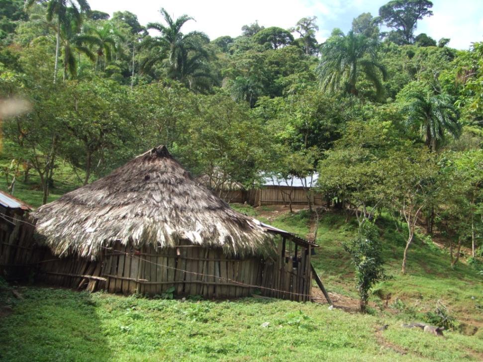 En Costa Rica 50% de cobertura natural al 2005 en general