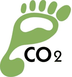 CDP Carbon Disclosure