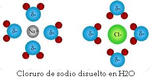 Solubilidad: Cuando se disuelve un sólido o un liquido, las unidades estructurales (iones o moléculas) se separan unas de otras y el espacio entre ellas pasa a ser ocupado por moléculas de disolvente.