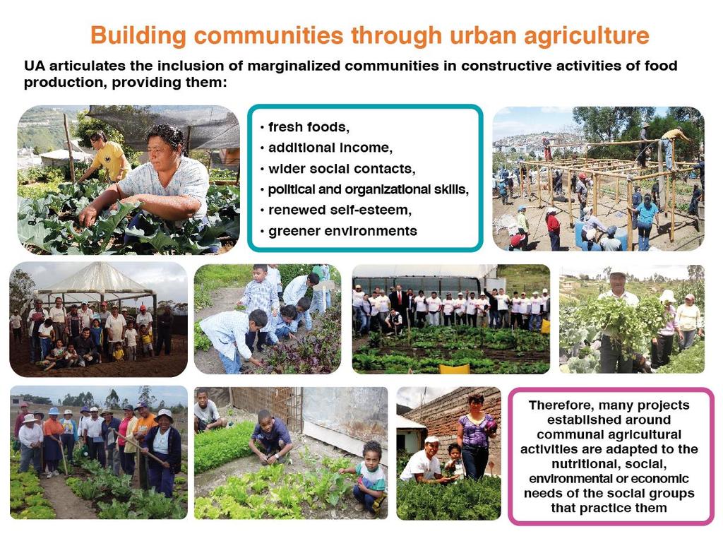 Construyendo comunidades a través de la Agricultura Urbana AU articula la inclusión de comunidades marginadas en actividades constructivas para la autoproducción de alimentos, brindándoles: alimento