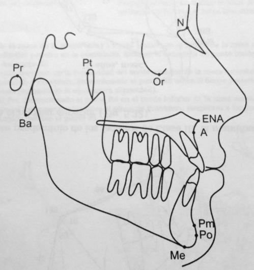los cuales son: Eje Facial, Profundidad Facial, Plano mandibular, Altura facial inferior, Arco mandibular; estos ángulos se relacionan ajustándolos a la edad del paciente.