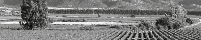> VIÑA TARAPACÁ > EL GRAN RESERVA DE CHILE EL GRAN RESERVA DE CHILE De la mano de la tradición centenaria de Viña Tarapacá, nace la línea Gran Reserva Tarapacá; vinos de calidad excepcional,