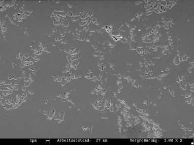 Innovación: estructura de nanoleucita Microestructura sin grietas en la que se hallan repartidos de forma homogénea minúsculos cristales de leucita.