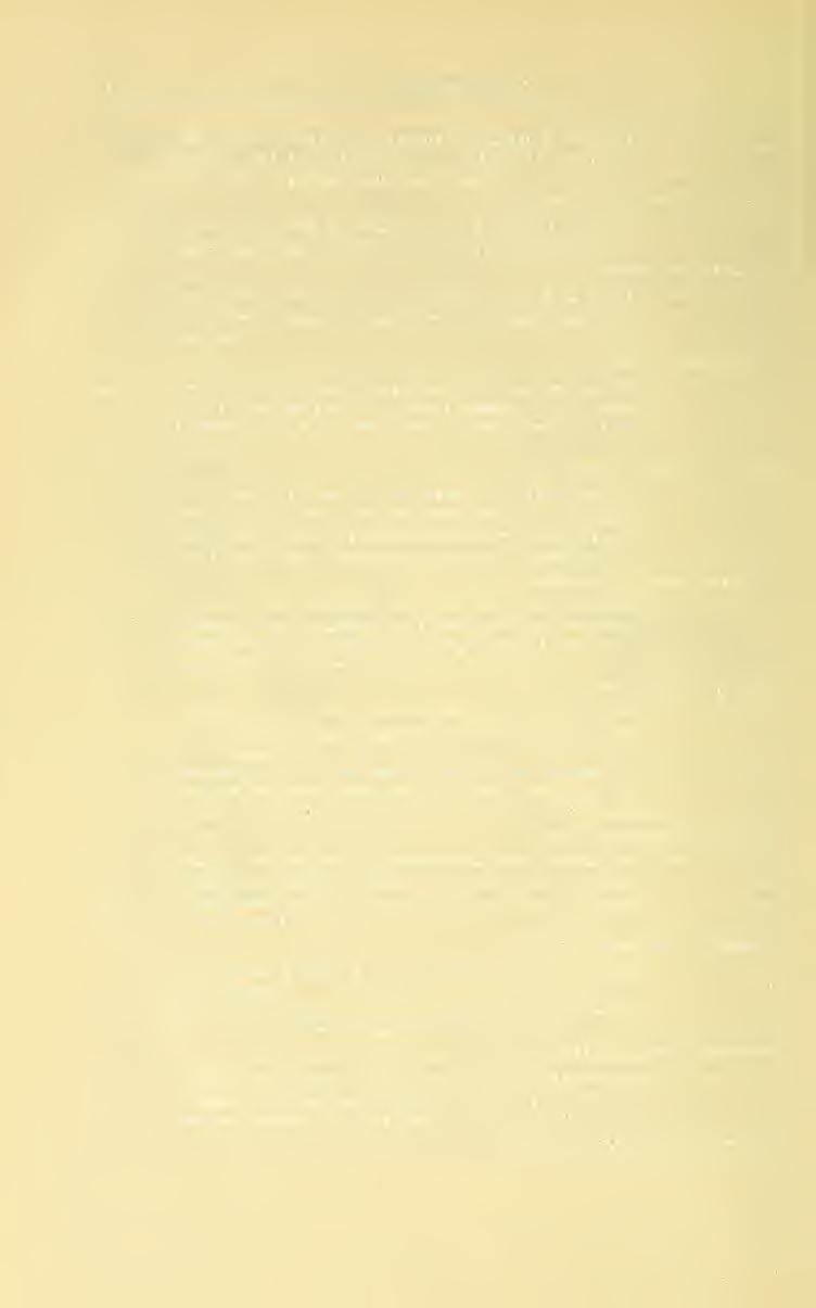 396 Rev. Chil. Ent. 1957, 5 costal con pequeñas protuberancias verrugosas en su borde inferior.