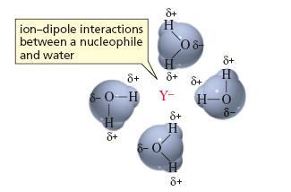 7.- Efecto del Disolvente Los disolventes polares próticos, solvatan al nucléofilo y al catión por efectos de formación de puentes de hidrógeno