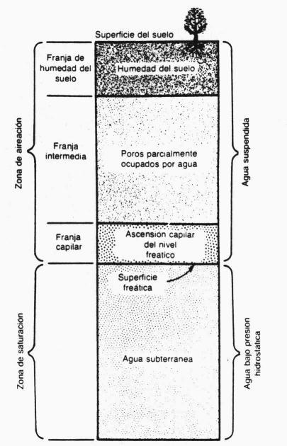 Figura Nº 5: Zonificación Vertical del agua subterránea En la siguiente zona, la saturada, existen dos situaciones: b.1. Zona freática.
