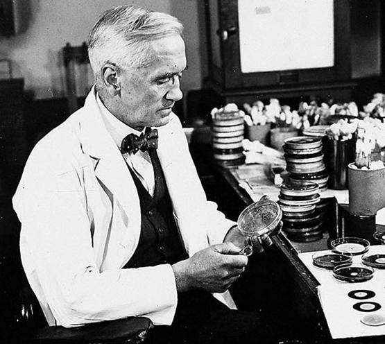 Antecedentes Históricos Penicilina G Alexander Fleming Descubrió el primer antibiótico, cuando por accidente se contaminó un cultivo de