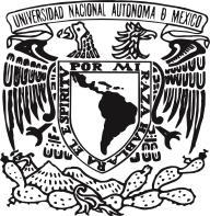 UNIVERSIDAD NACIONAL AUTÓNOMA DE MÉXICO Instituto de Investigaciones Bibliotecológicas y de la Información UNIVERSIDAD AUTÓNOMA DE CHIAPAS Dirección de Desarrollo Bibliotecario IX Seminario de