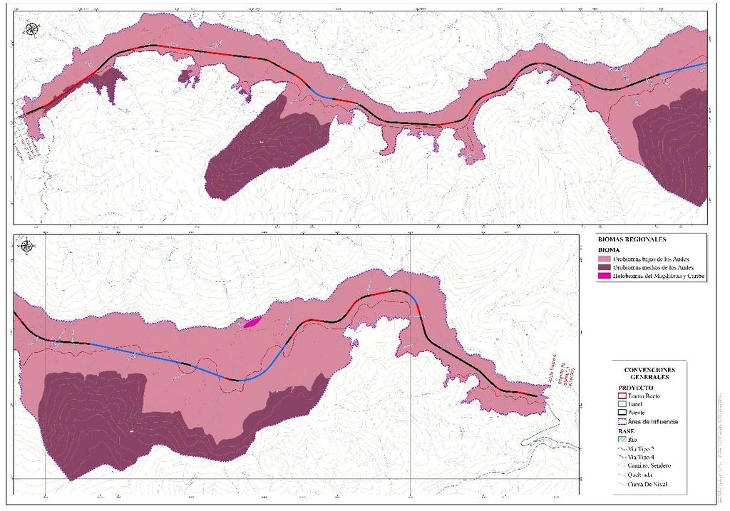27 Figura 6-5 Distribución de los biomas Fuente: Elaboración propia Orobioma Bajo de los Andes Se localiza sobre la unidad geomorfológica de montaña fluviogravitacional, contiene principalmente