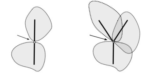 Invariantes topológicos: componentes conexas Para n 2 N tenemos invariantes N(n, L) =card{p 2 L : O(p) =n} N(n, L)