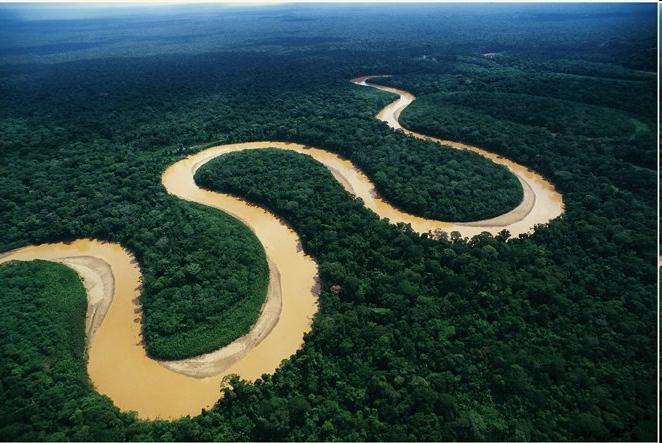 La Amazonia y sus servicios Retención y