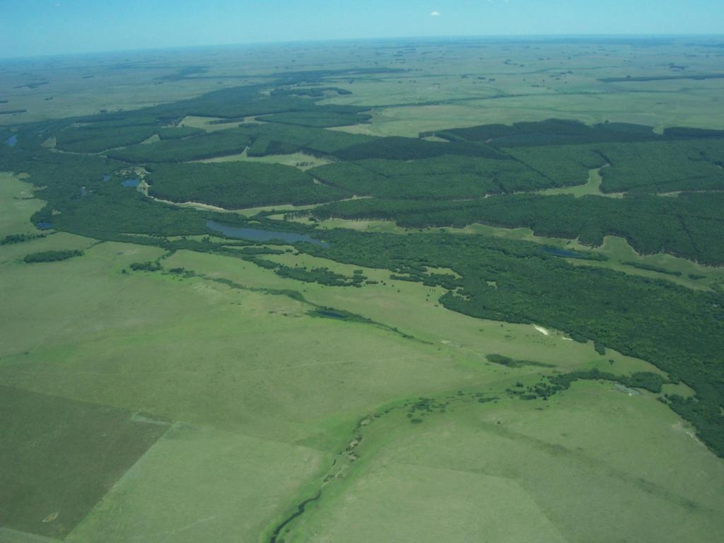LA POLITICA FORESTAL URUGUAYA Objetivos generales La conservación de los bosques