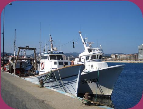 Estructura del sector pesquero en Palamós.