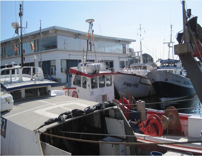 Rendimiento de la flota pesquera de Palamós El rendimiento de la flota experimenta un elevado crecimiento, principalmente por la menor utilización de capital humano en la actividades pesqueras.