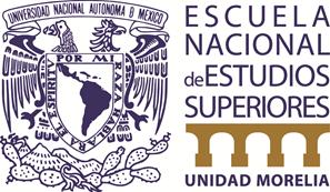 UNIVERSIDAD NACIONAL AUTÓNOMA DE MÉXICO ESCUELA NACIONAL DE ESTUDIOS SUPERIORES, UNIDAD MORELIA SECCRETARÍA DE DESARROLLO INSTITUCIONAL Y TECNOLOGÍAS UNIDAD DE ESTRATEGIA EDUCATIVA PROGRAMA