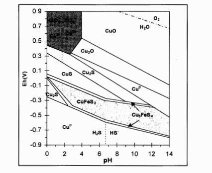 Que es el ORP? Diagrama de Pourbaix del sistema Cu-Fe-S 2 H 2 O EL diagrama de Pourbaix traza un equilibrio estable en las fases de un sistema electroquímico acuoso.