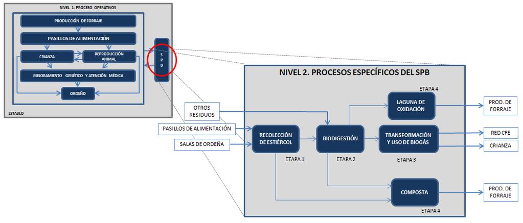 Fig..9 Diagrama del Nivel 1: Procesos operativos de establo