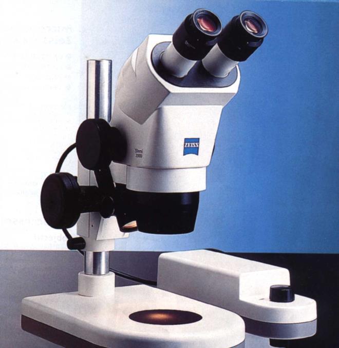 Observación y Conteo Cultivo Microscopía Limitaciones: Técnicas clásicas Preparación