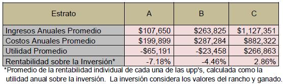 sobre la inversión son negativas; solo es estrato C refleja promedio utilidad promedio y rentabilidad positivas ($266,863 y 2.