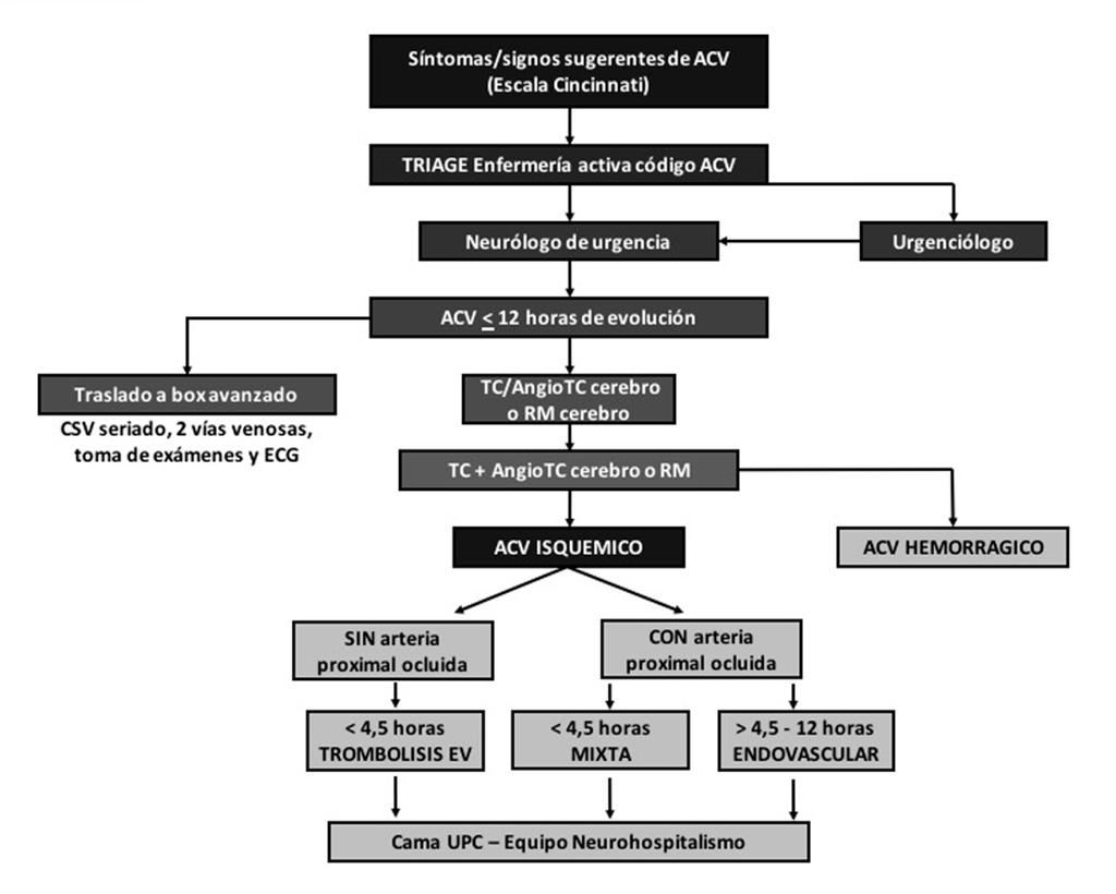 ACV isquémico agudo - P. Reyes et al artículo de investigación la primera serie de pacientes que sufrían un ACVi agudo tratados mediante trombolisis endovenosa 3.