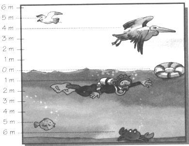 6. Ubica los signos menos en la gráfica y completa según la imagen: La gaviota está volando a m el nivel del mar. El niño está buceando a m el nivel del mar.