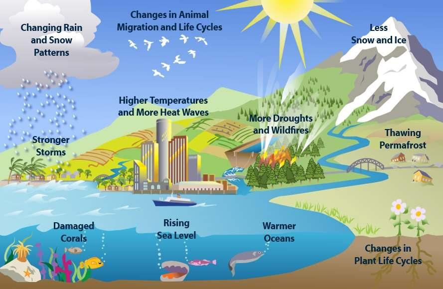 Cambios importantes en ciclos del agua Aumento de temperatura entre 1.4 y 5.8 C a finales del sg. XXI Aumento vapor de agua. Cambios en los patrones de precipitación Aumento de temperatura.