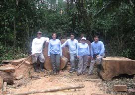Fotografia 4. CAUSA / ORIGEN Comercio de madera. 5.