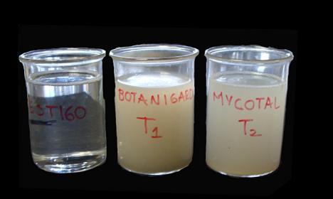 Tween 80 al 0.03%. Se prepararon las mismas cantidades de material del testigo absoluto (agua destilada con Tween 80 al 0,03% como surfactante). a b c Figura 2.