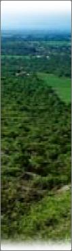 190 Agricultura de riego Forestal (selva baja caducifolia) Pastizal Preservación ecológica de barrancas