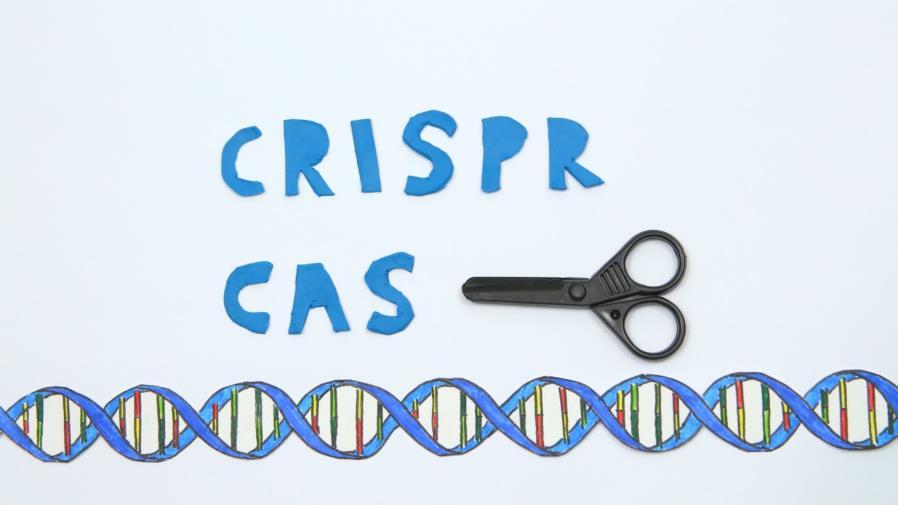 CRISPR CAS: un método sorprendentemente sencillo y preciso En esencia consta de dos elementos: una pequeña molécula de ARN