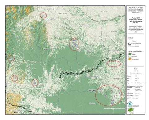 bosques al interior de las áreas de PNN lo cual seguramente contribuirá a aumentar significativamente las cantidades almacenadas en estos bosques.. Imagen 3.