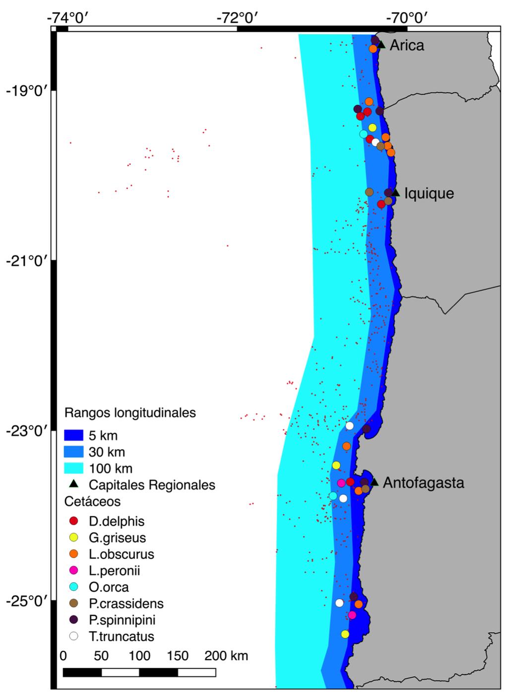 Figura 46. Superposición de las zonas de pesca de cerco industrial para el jurel (puntos rojos pequeños) y las áreas de uso de cetáceos.
