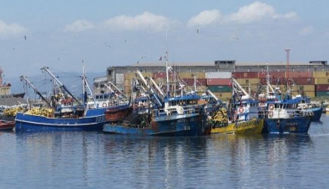 pesquería artesanal de sardina austral