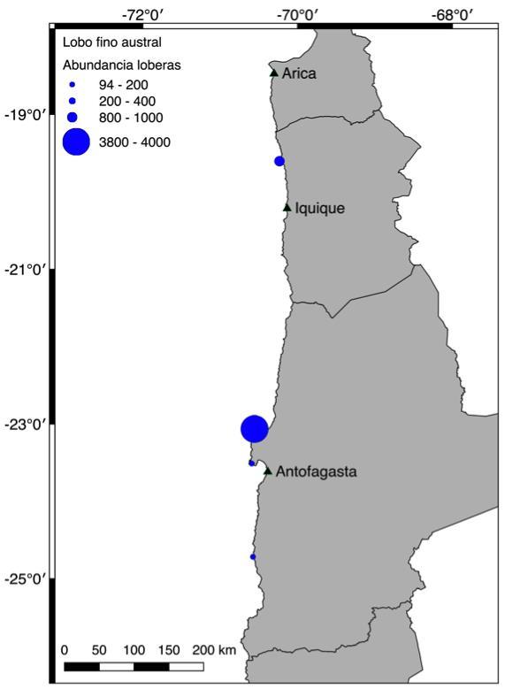 Distribución y abundancia del lobo fino austral LFA Para establecer el grado de superposición de las pesquerías de cerco industrial y artesanal con el LFA, se obtuvieron los datos georreferenciados