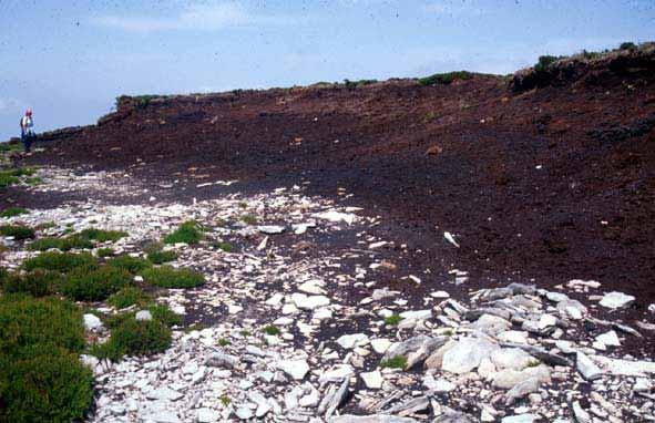 3º LA EROSION EN LOS FRENTES DE LOS TALUDES DE TURBA La erosión sigue siendo la amenaza más inmediata y permanente que sufre la turbera del Zalama.