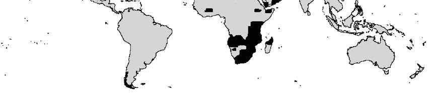 No obstante, las poblaciones ibéricas deben ser adscritas a la subespecie nominal, ya que la localidad típica de la especie es Lusitania.