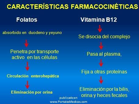 La disminución de la absorción de vitamina B 12 es el principal mecanismo fisiopatológico y puede deberse a varios factores y suele denominarse anemia perniciosa.