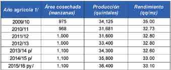 19 Principales departamentos productores: La producción nacional se encuentra distribuida de la siuiente forma: San Marcos (27%), Quetzaltenano (21%), Huehuetenano (19%), Quiché (14%) y los demás