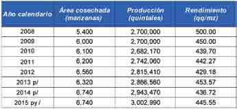CEBOLLA (Allium cepa var. cepa) Aspectos productivos Área, producción y rendimiento Distribución de la producción a nivel nacional (%): 0.12 0.33 0.05 0.05 0.13 p/ Cifras preliminares.